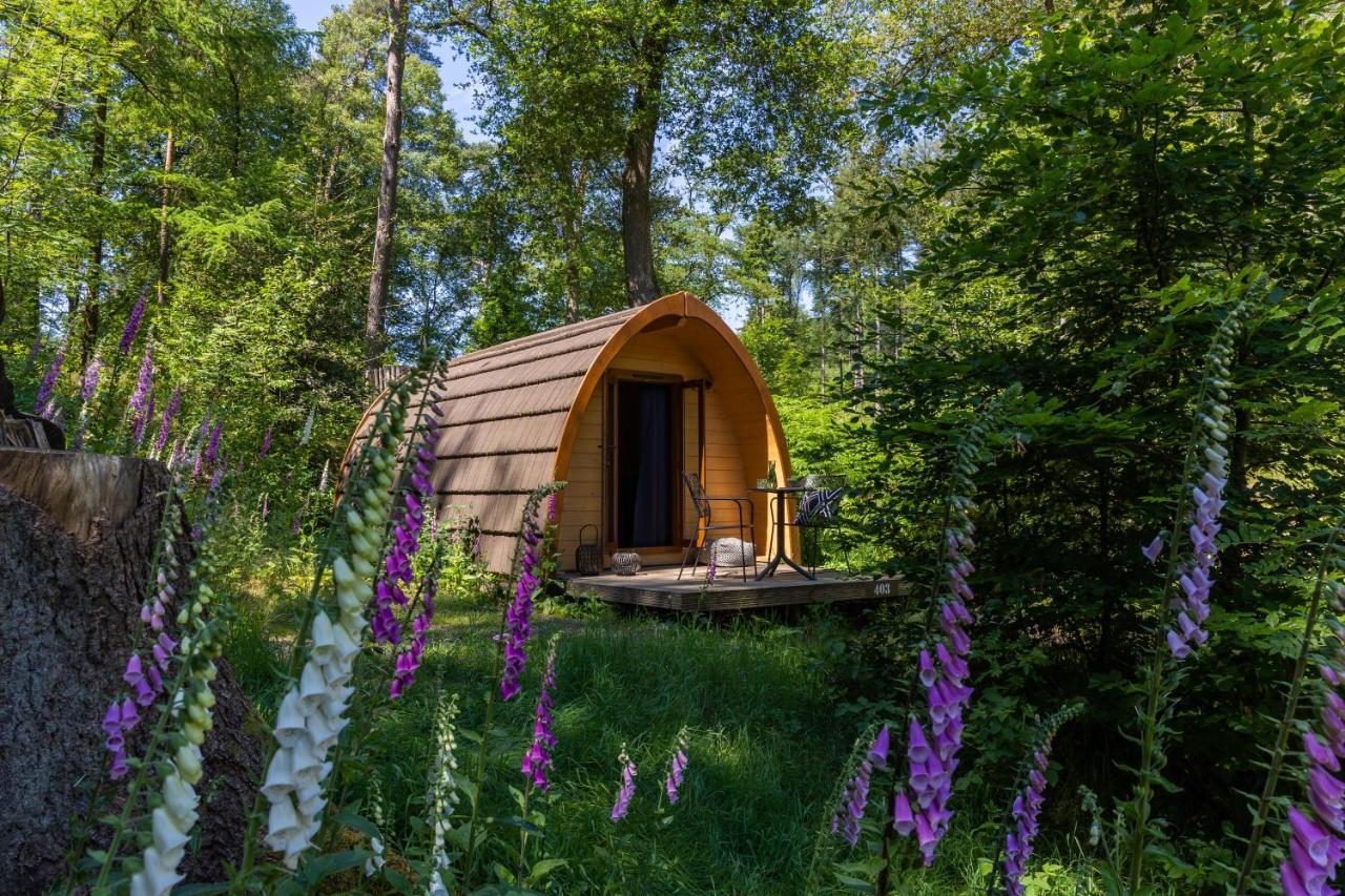 Holiday park Buitenplaats Beekhuizen